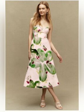 BHLDN Natalia Fit-and-Flare Strapless
Maxi Dress NWT